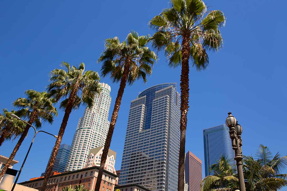 California Intestate Succession