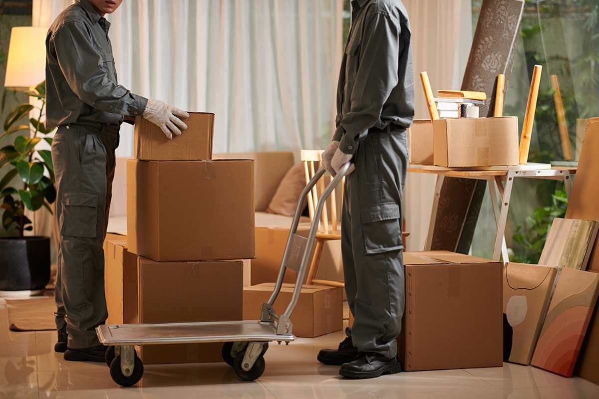 professional movers