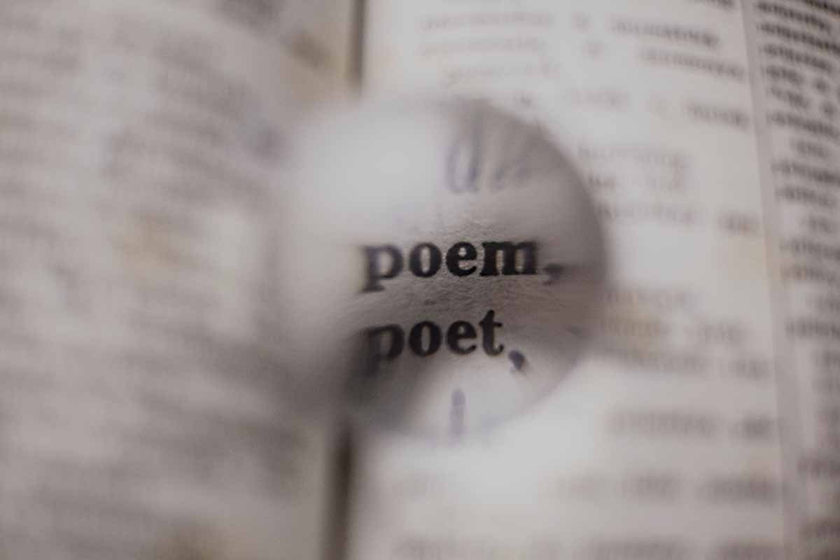 Discover the Etymology of Words