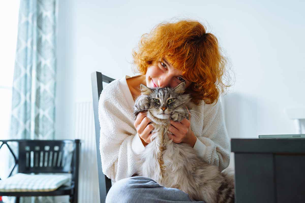 Eosinophilic Granuloma in Cats